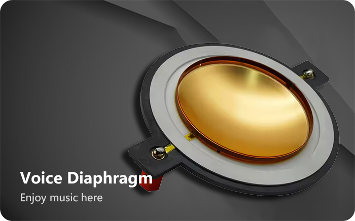 Voice-Diaphragm