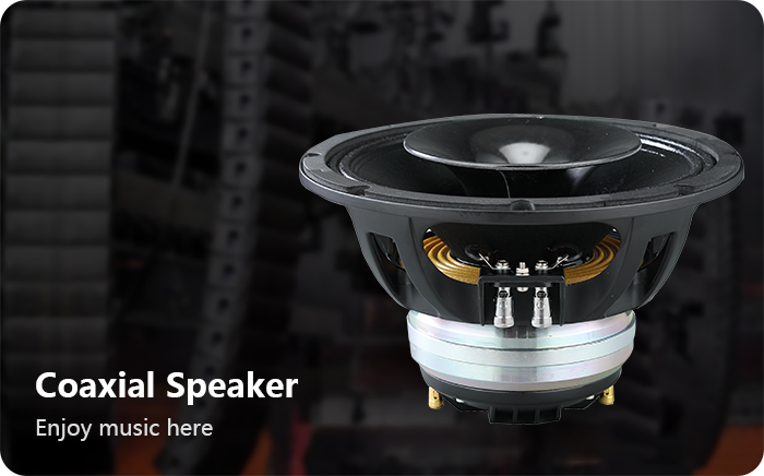 Coaxial-Speaker